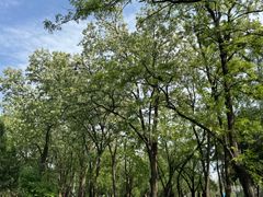 -太阳宫公园