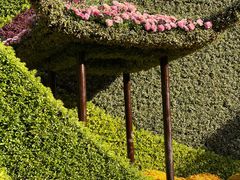-杭州植物园