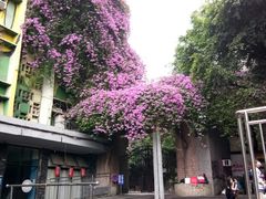 -黄桷坪涂鸦艺术街