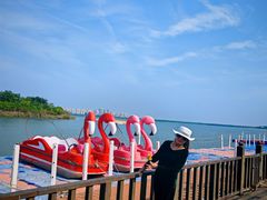 -天津东丽湖风景区