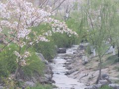 -羊山湖公园