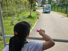 -梁子岛生态旅游区