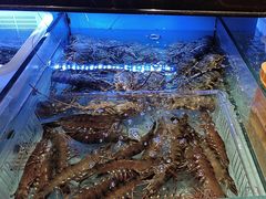 -阿伟海鲜楼·福建菜(延寿店)