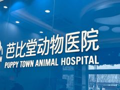 -芭比堂动物医院·CT·微创中心(新顺分院)
