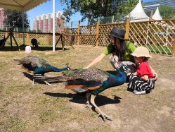 -萌宠亲子动物乐园(槐房万达店)