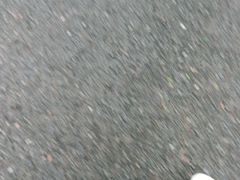 -新概念来凤鱼(璧山店)