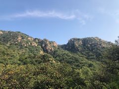 -大岭沟猕猴桃谷风景区