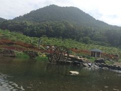 -广州市石门国家森林公园