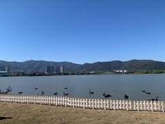 -长兴太湖图影湿地文化园