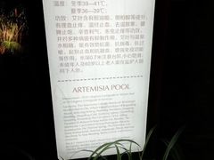 -国信南山温泉