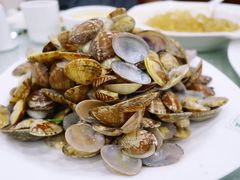 辣炒花蛤-陶然饺子城(奥体中路店)