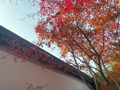 -秋霞圃