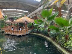 -南宫五洲植物乐园