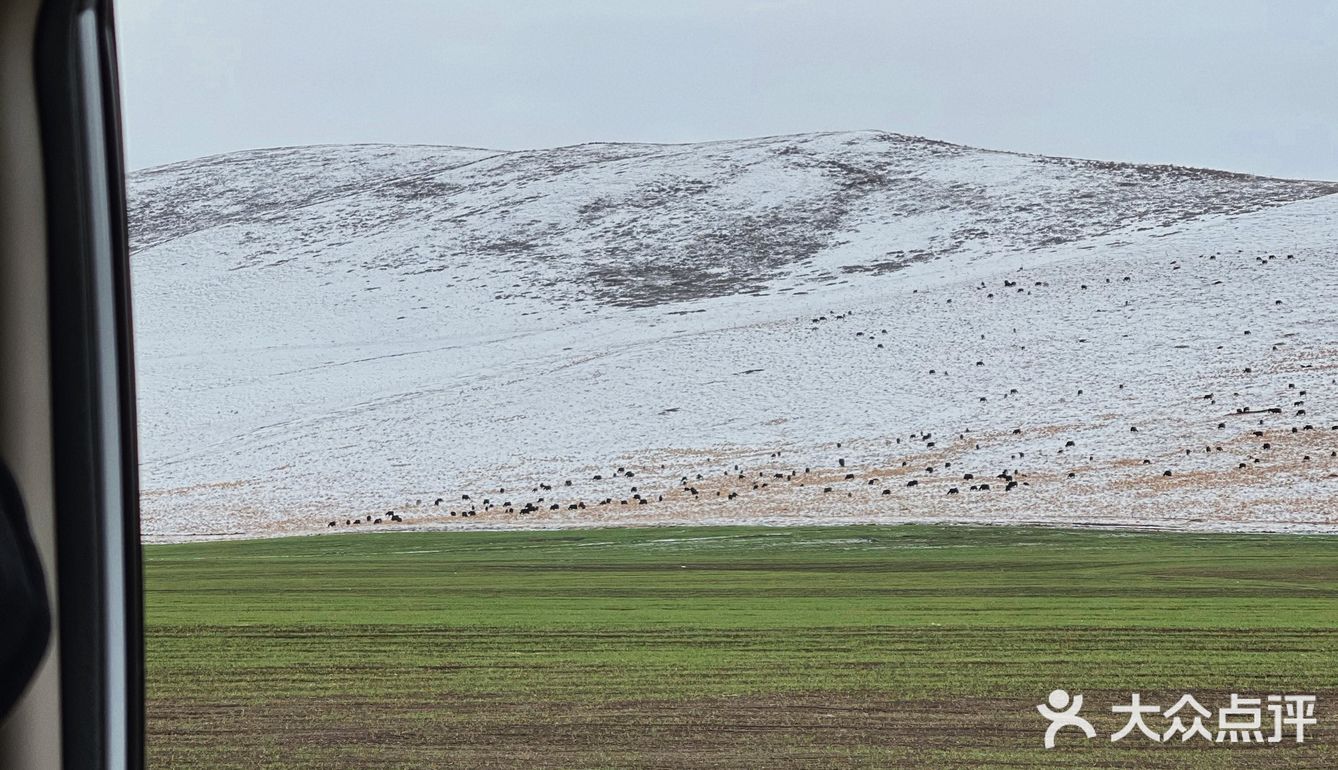 西北大环线｜你总要去远方看一看⛰️