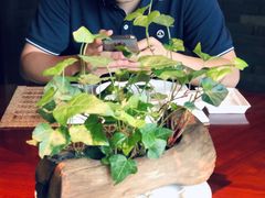 -解香楼(八盘岭路店)