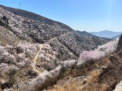 -北京凤凰岭