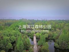 -上海滨江森林公园