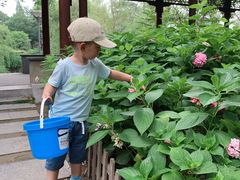 -泰州凤城河风景区-泰山公园