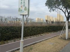 -菊园百果园