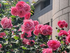 -中国人民解放军空军特色医学中心(空军总医院)