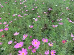 -回龙观体育文化公园