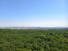 -紫金山山顶公园