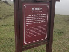 -乌蒙大草原