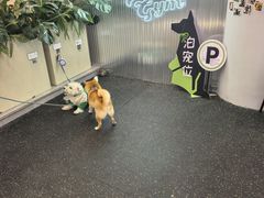 -TMG潮流健身(奥体莲荷里店)
