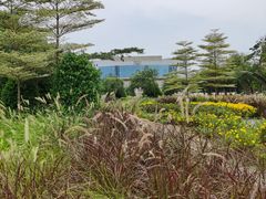 -映月湖公园