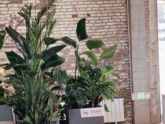 -壹山树咖啡(西港花园店)