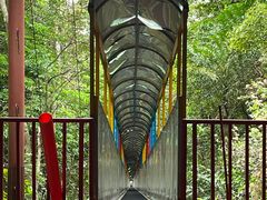 -七仙岭温泉国家森林公园