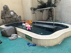 -稻香湖景欢乐岛温泉城堡