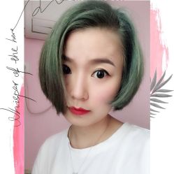 烫染-GY style salon网红签约