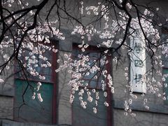 -山东大学(趵突泉校区)