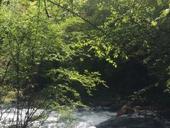 -叠溪松坪沟景区