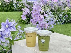 -宝藏绿洲(万象前海店)