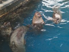 -华夏文旅海洋公园