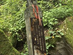 -陕西省红河谷森林公园