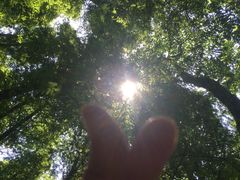 -山王坪喀斯特国家生态公园