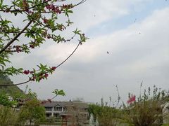 -阳朔悦榕庄·明月西餐厅&清风吧