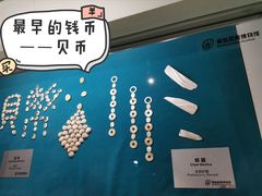-青岛贝壳博物馆