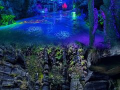 -梭布垭石林景区