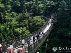 -娄山关景区