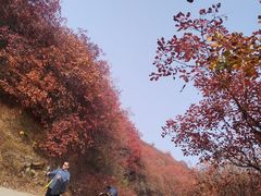 -水库活鱼馆(于桥水库店)
