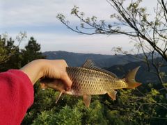 -麻木老地方牛筋牛杂(长堤街店)