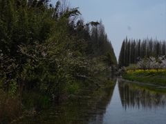 -东平国家森林公园
