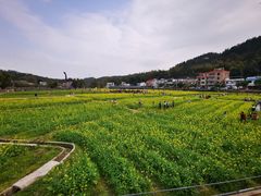 -红山村