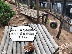 -大连森林动物园