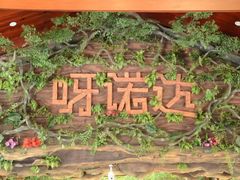 -呀诺达热带雨林
