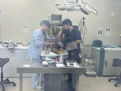 -爱妮康宠物医院·干细胞免疫细胞·肿瘤·心脏(张江店)